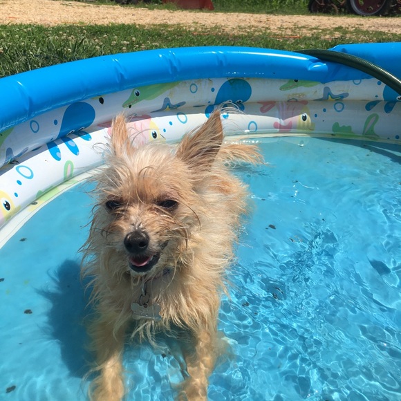 Everything must go - Picture 3 of 3